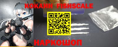 стафф Гатчина