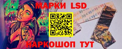стафф Гатчина