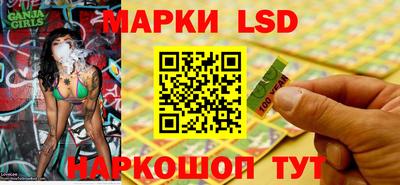 стафф Гатчина
