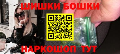 стафф Гатчина
