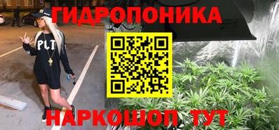 дурь Гай
