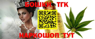 стафф Гатчина