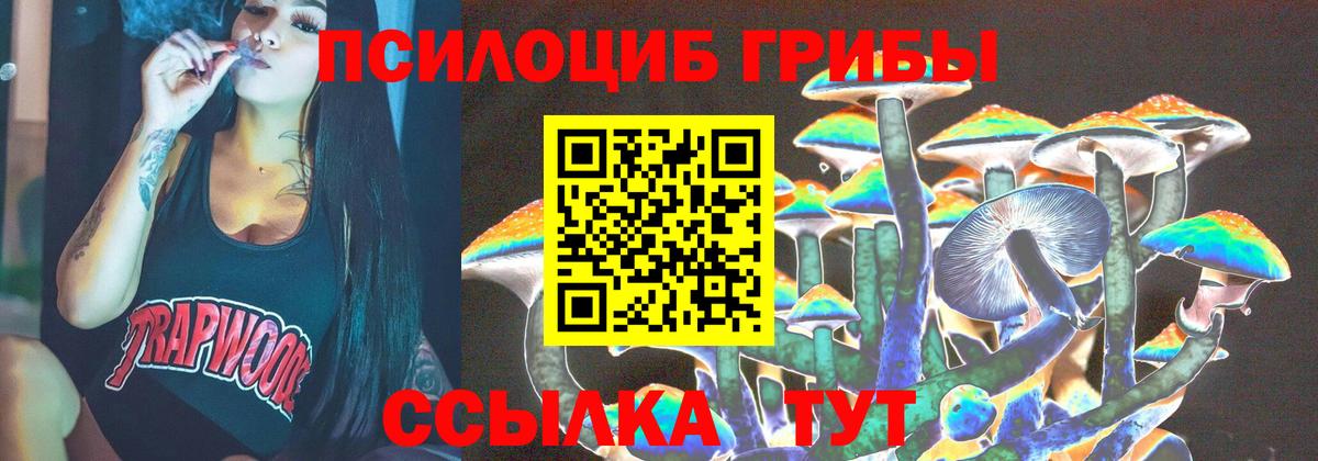 Псилоцибиновые грибы Psilocybe  Вход с VPN  Нижнеудинск  Псилоцибиновые грибы MAGIC MUSHROOMS 